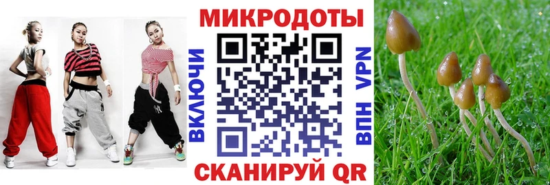 Галлюциногенные грибы Psilocybe  Пятигорск 