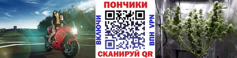 Марихуана конопля Пятигорск